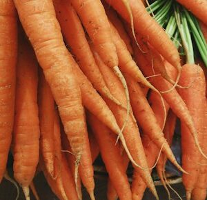 Organic Carrots (1kg)