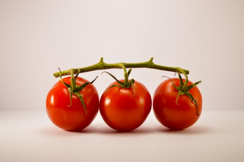Vine-Ripened Tomatoes (1kg)